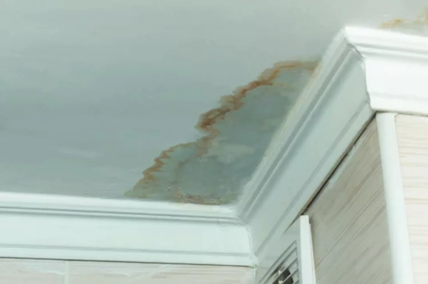 Water-damaged ceiling